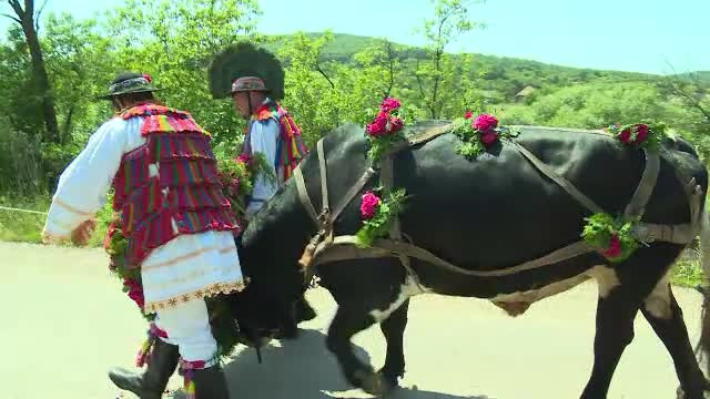 Rusalii 2022. Ce tradiții și obiceiuri au credincioșii cu această ocazie