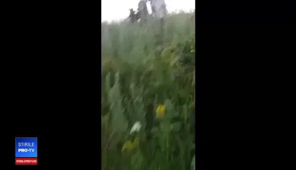 Distracție la țară. Patru indivizi s-au filmat cum chinuie un pui de urs. VIDEO