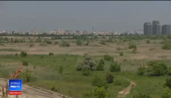 ''Economie verde'' în jurul ariilor naturale protejate. Ce presupune noua strategie a Guvernului