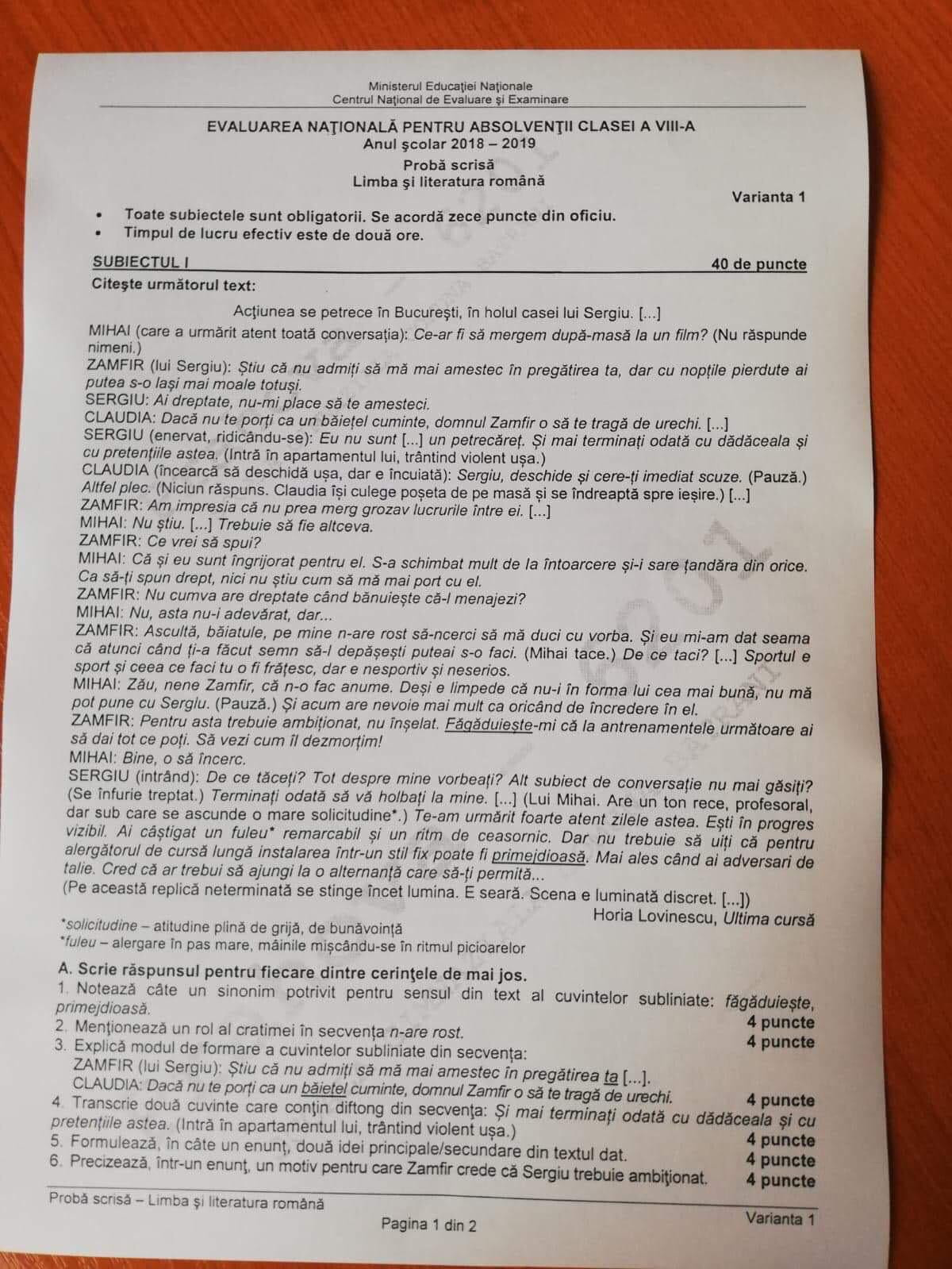 subiecte romana evaluare nationala 2019