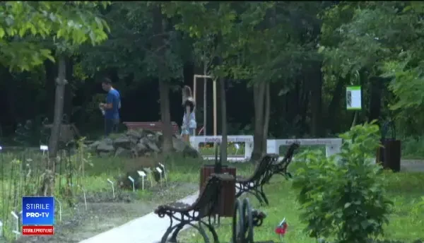 După Cluj, și în Capitală se oferă internet gratuit la Grădina Botanică. Cum a fost posibil