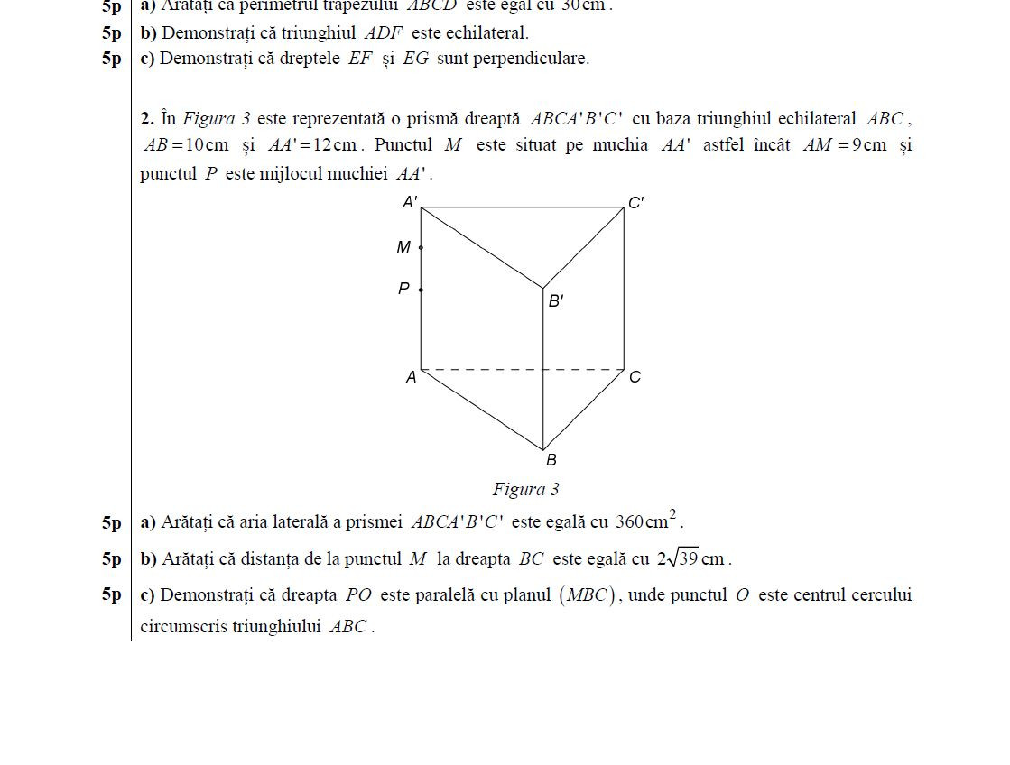 subiecte matematica evaluare nationala