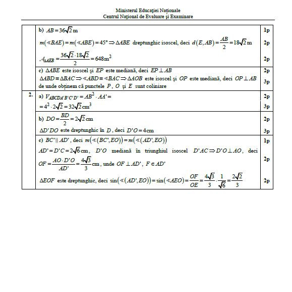 Barem matematica Evaluare Nationala 2019