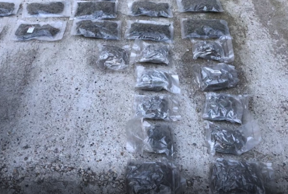 Festivalul din România unde au fost prinşi 12 traficanţi. Ce droguri vindeau