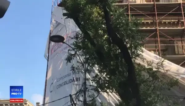 Schele căzute în București. Autobuzele, blocate pe șosea. VIDEO de la fața locului -2