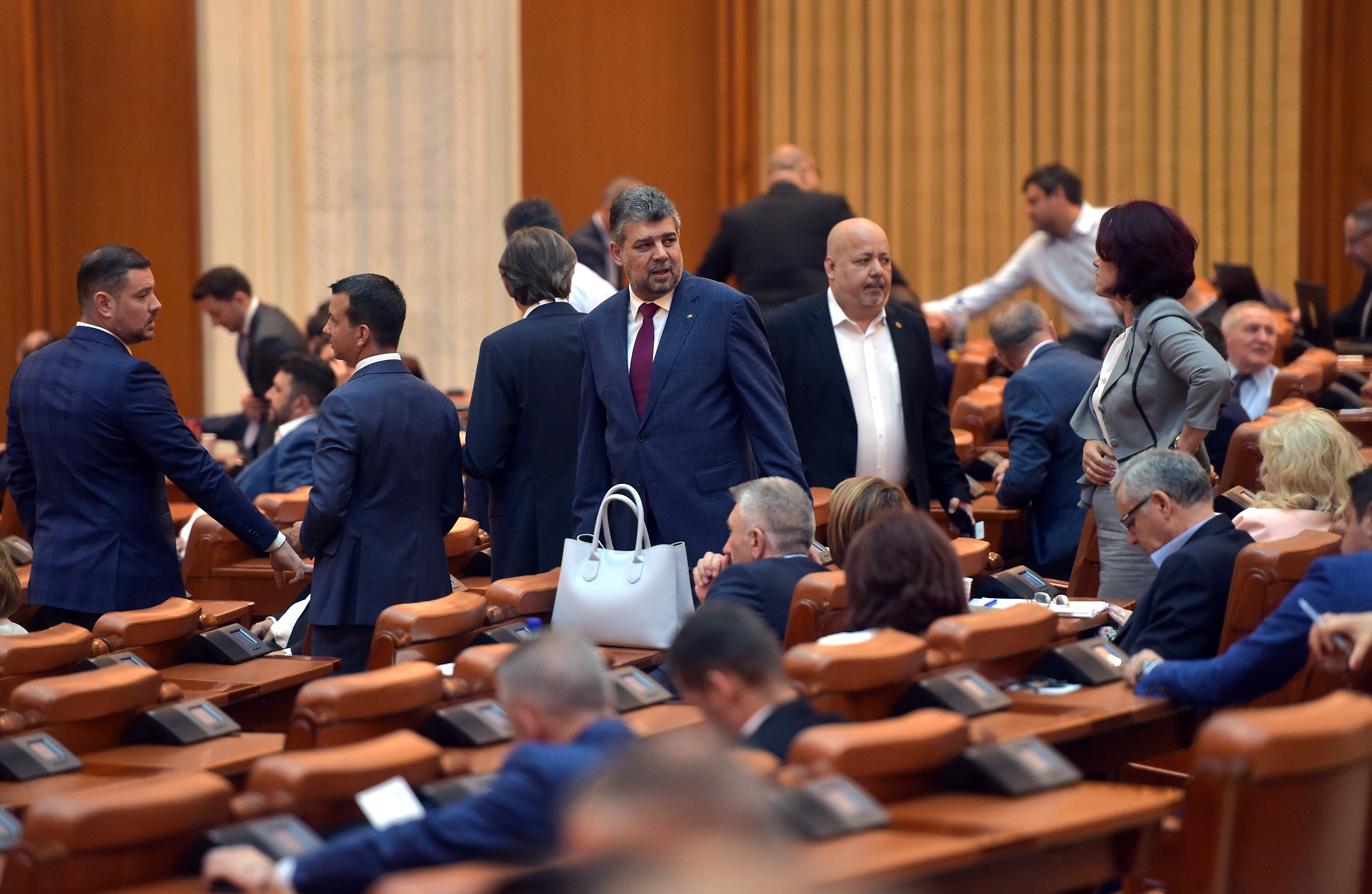 Scandal la ședința PSD, între Ciolacu și Oprișan. Dăncilă, contre cu Bădălau