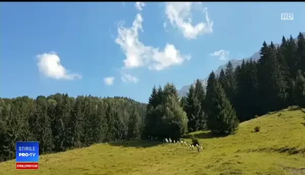 Taberele unde telefonul mobil este interzis copiilor. Cât plătesc părinții