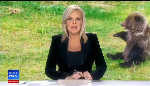 Un urs a pătruns într-o casă și s-a închis pe interior. Cum a fost găsit