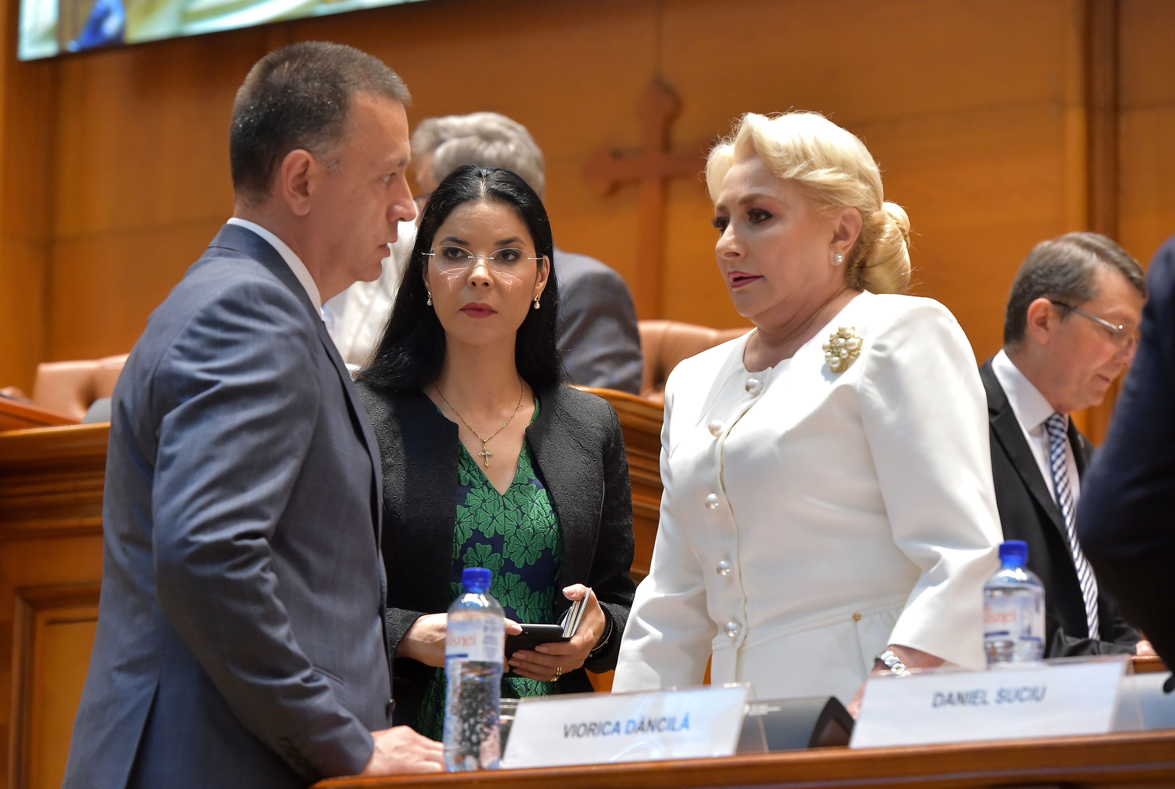 Fostul ministru Ana Birchall a demisionat din grupul parlamentar PSD