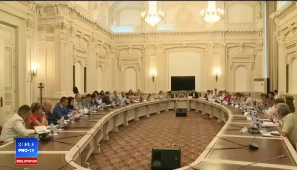 Soluţiile autorităţilor pentru votul din diaspora. De ce nu a funcţionat votul electronic