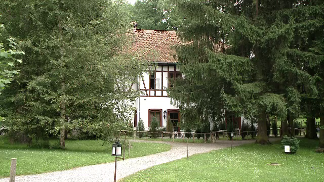 Castelul dintr-o pădure din România unde o cameră fără TV ajunge la 500 euro pe noapte