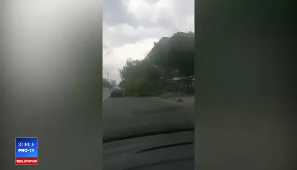 Bilanțul furtunii din Capitală: 37 de copaci căzuți și 21 de mașini avariate