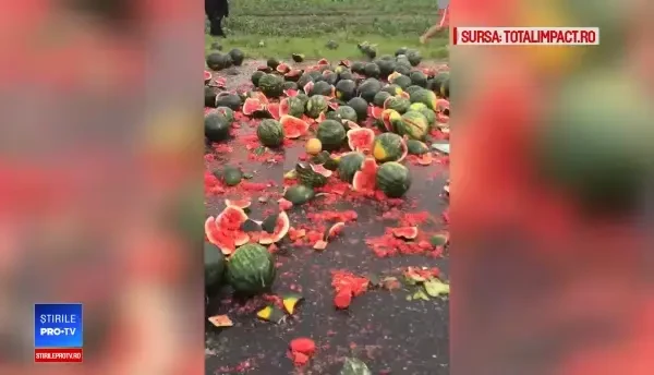 Mașini încărcate cu pepeni și porumb au pierdut marfa în drum. Reacția martorilor