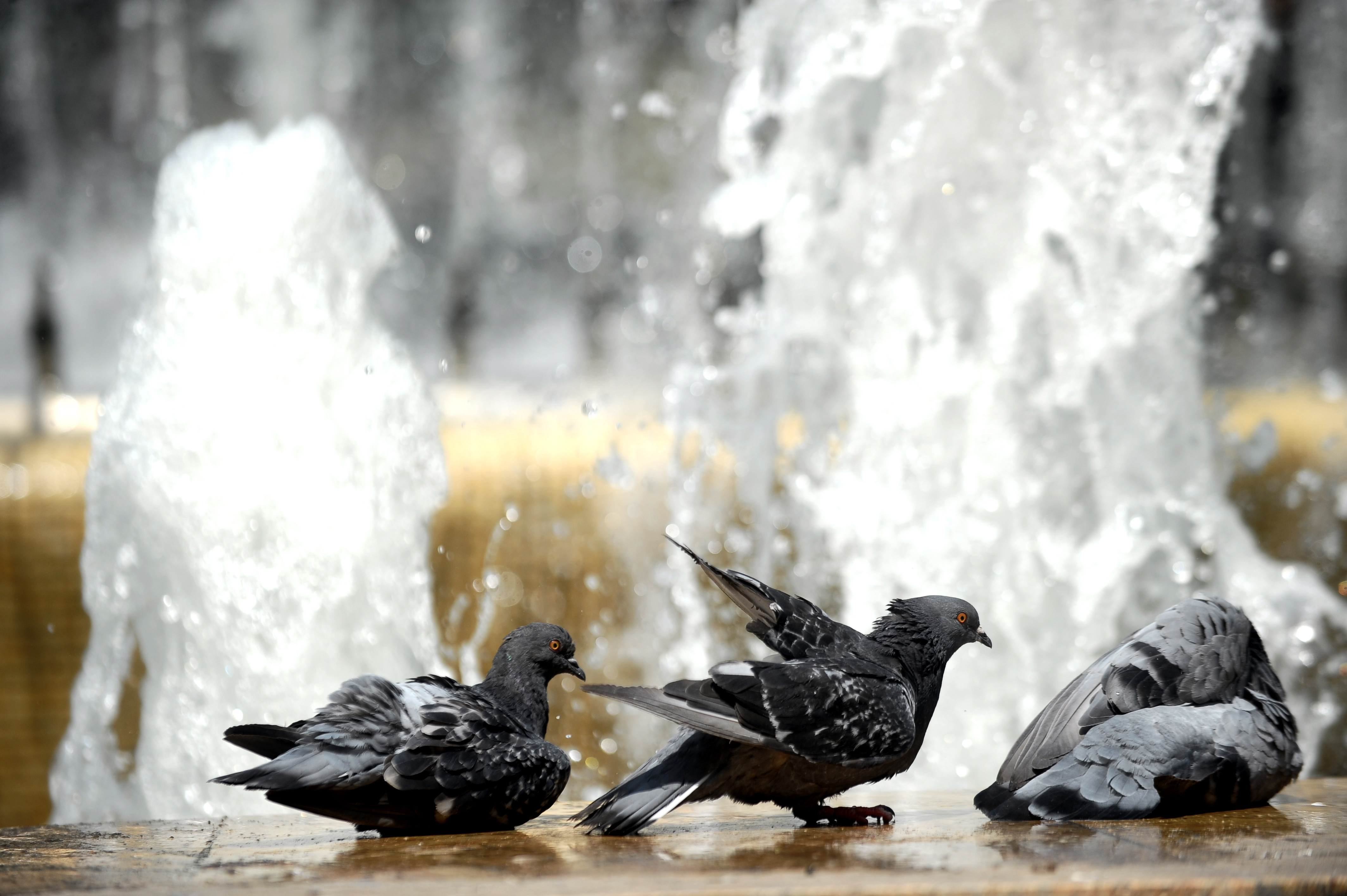 Schimbările de care avem parte în weekend din punct de vedere al temperaturilor. Prognoza meteo