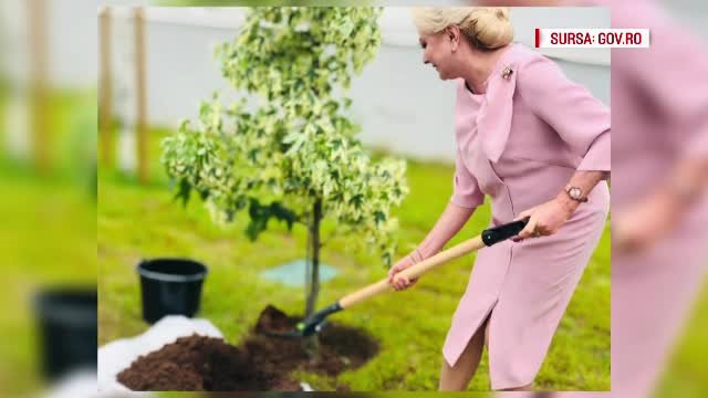Iohannis și Dăncilă, la Renault. Președintele a atacat Guvernul, Dăncilă a plantat un pom
