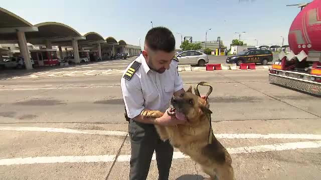 Muha, spaima traficanților de droguri, a fost adoptat de cel mai bun prieten al său
