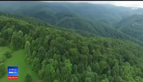 „Mica Transalpină”, construită lângă Timișoara pe fonduri europene. Ce speră autoritățile