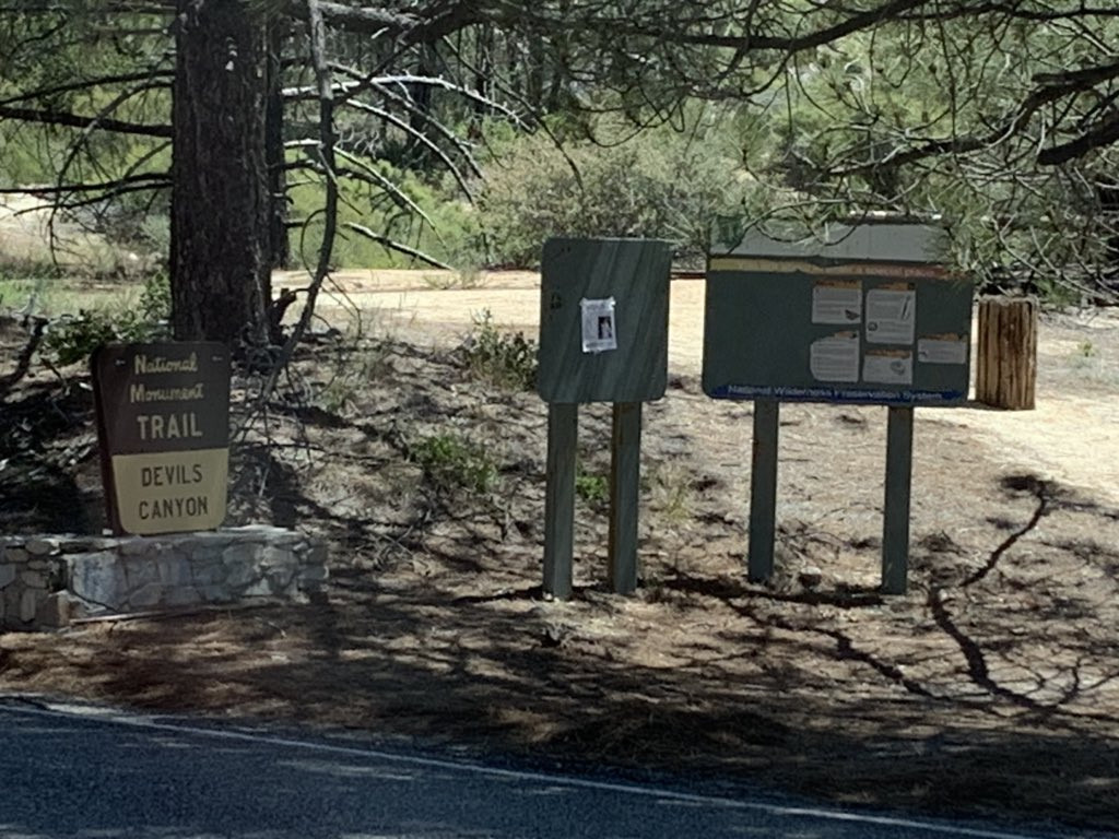 Un turist de 73 de ani s-a rătăcit într-o pădure. Cum a supravieţuit o săptămână