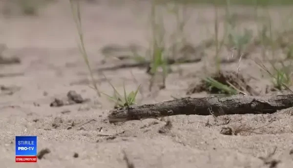 O zonă din țară se transformă în deșert. „Peste 2 săptămâni, va fi numai și numai nisip”