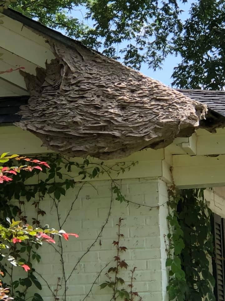 Alabama Cooperative Extension System