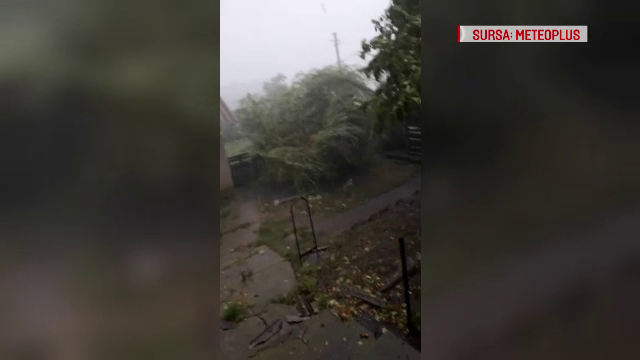 Panică în Botoșani după o vijelie care a smuls copacii: "Se zguduia blocul"
