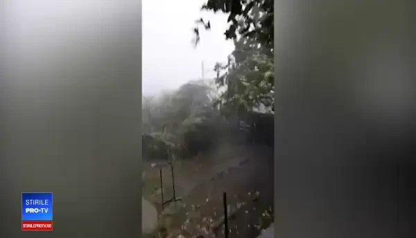 Furtună devastatoare la Botoșani: Vântul a rupt copaci și smuls acoperișuri. VIDEO
