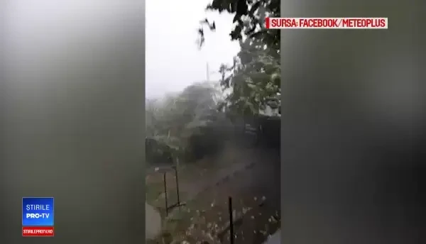 Furtună devastatoare la Botoșani: Vântul a rupt copaci și smuls acoperișuri. VIDEO