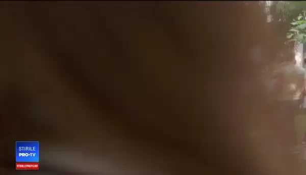 Perle la Bacalaureat 2019, la limba și literatura română