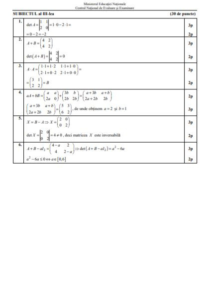 Barem subiecte matematică profil pedagogic, bac 2019