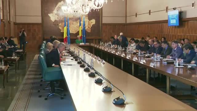 Cine i-ar putea înlocui în Guvern pe Meleşcanu şi Carmen Dan. Remanierea, decisă luni
