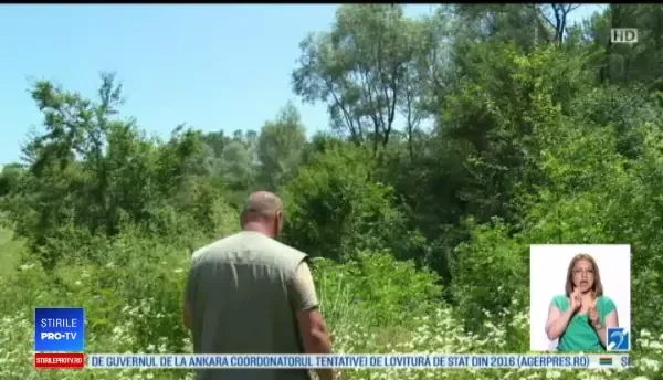 Un bărbat de 77 de ani din Dâmbovița a dispărut fără urmă. Cine l-a văzut ultima dată