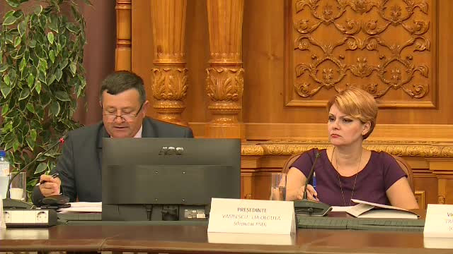 Câțiva parlamentari au venit din concediu ca să ancheteze desfășurarea alegerilor din 26 mai