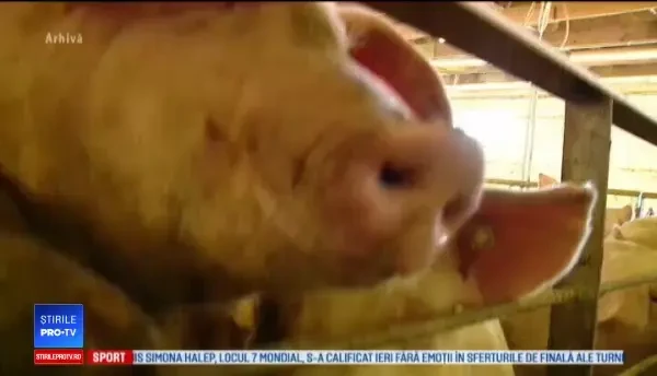 Alertă într-un județ din România. Șoferii, verificați: "Să ne deschideţi portbagajul"