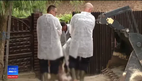 Pesta porcină face ravagii în satele româneşti. Localnică: ”M-am împrumutat ca să-i cresc”