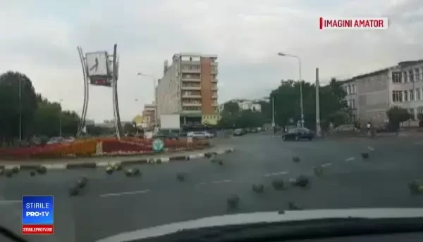 Intersecţie blocată de sute de pepeni, în Tulcea. Imaginile au devenit virale