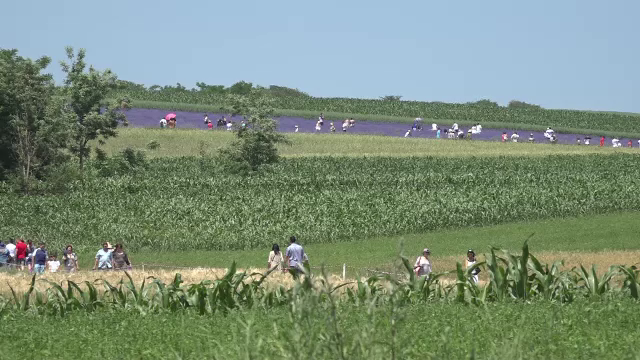 Programul Erasmus, tot mai căutat de tinerii cu idei de afaceri. Beneficiile pentru antreprenori