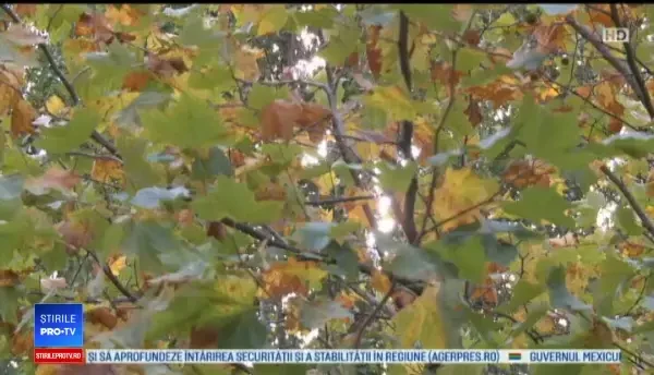 Horoscop 10 iulie 2019, prezentat de Neti Sandu. Berbecii primesc o sumă de bani