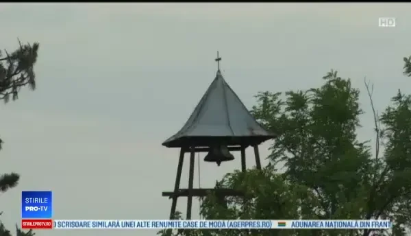 Cadavru mutilat de animale, descoperit de un câine, în Dâmbovița. Cine este victima