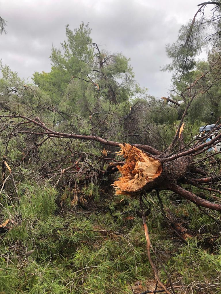 MAE: Un al treilea român, victimă a furtunii din Halkidiki; rănitul a fost transportat la spital