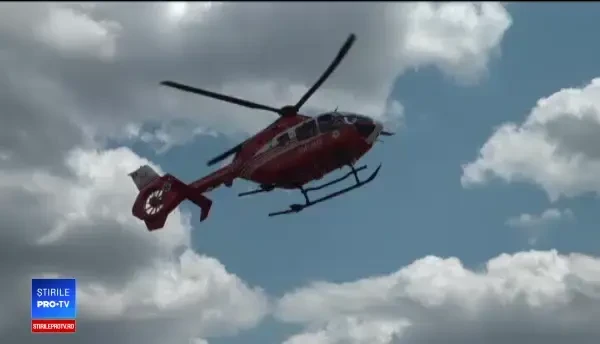 Doi bărbați, în șoc anafilactic, după ce au fost înțepați de insecte. Gestul periculos făcut