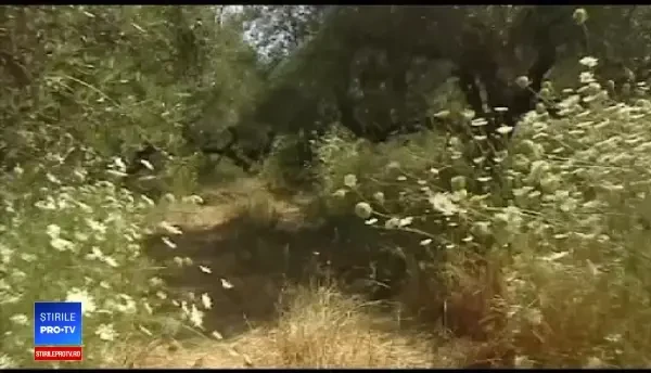 Cadavrul unei cercetătoare din SUA, găsit într-o peșteră din Creta. Cum a fost ucisă