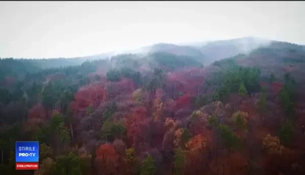 Destinul tragic al stațiunii românești care ascunde ”comori” unice în Europa