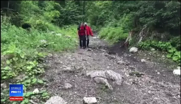 Capră neagră, lăsată să agonizeze din lipsa procedurilor