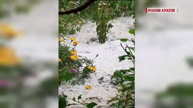 Imagini de coșmar în Argeș. Mai multe gospodării, acoperite cu gheață. VIDEO