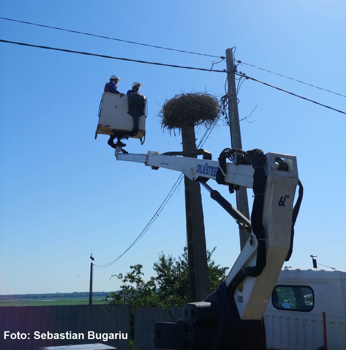 cuib de barza, berze