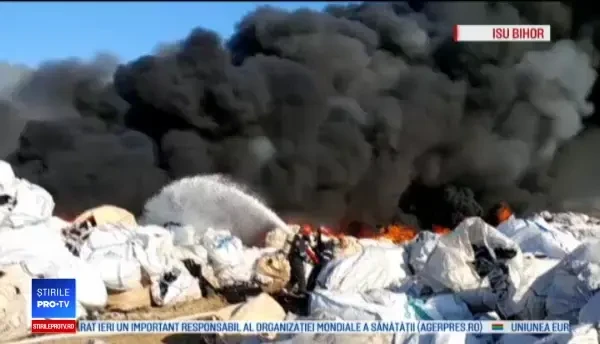 Incendiul de lângă Oradea, stins cu greu. De ce au venit experţi în evaluare nucleară