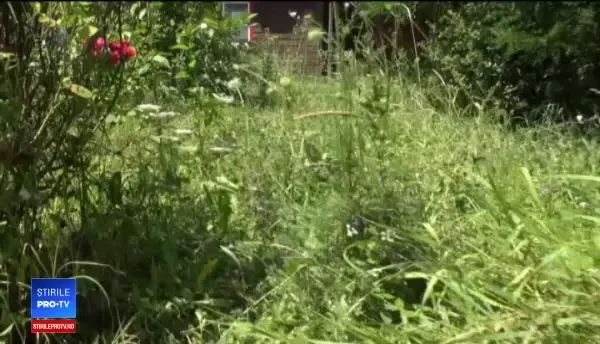 Avertisment dramatic pentru România. 500 de localități se confruntă deja cu această problemă