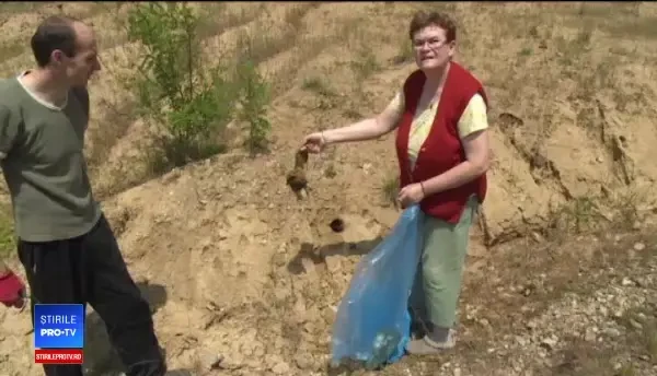 În loc să evite pagubele, ar fi provocat un masacru. Zeci de cuiburi de prigorii, astupate