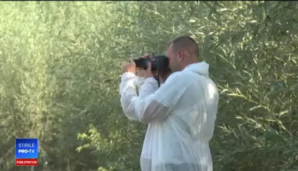 Un tată a fost ucis cu mai multe lovituri de cuțit de fiul lui, în Botoșani. Motivul atacului