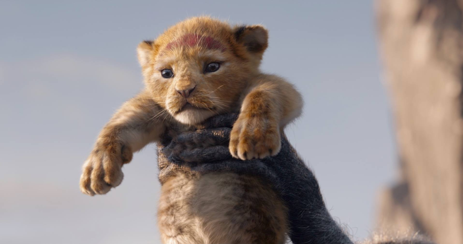 ”Lion King”, unul dintre cele mai așteptate filme ale verii, a intrat în cinematografe